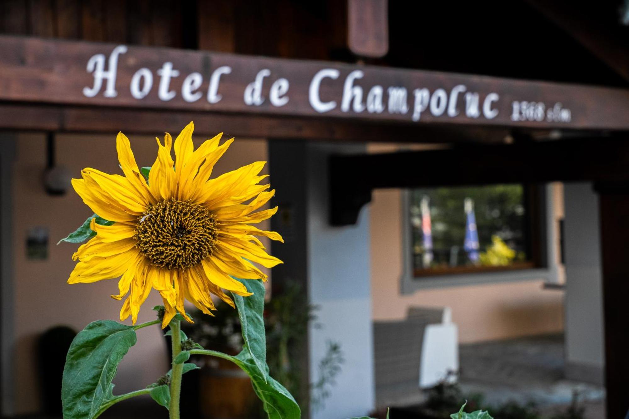 Hotel De Champoluc Exteriér fotografie